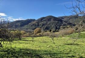 Candamo 1810&nbsp;m² 
