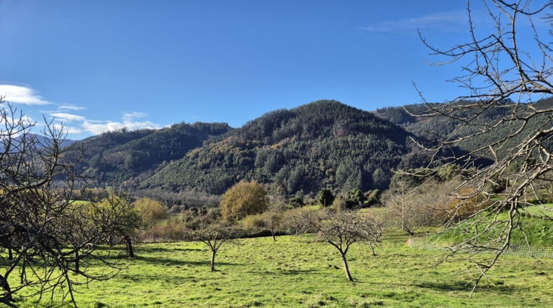 Asturias - Candamo - 1810m2