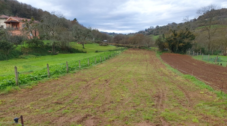 Asturias - Grado - 726m2