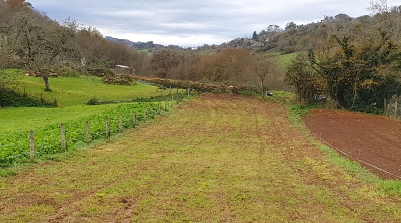 Asturias - Grado - 726m2