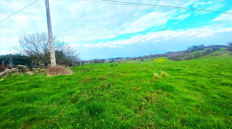 Asturias - Vilde - 13652m2
