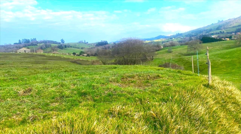Asturias - Vilde - 13652m2