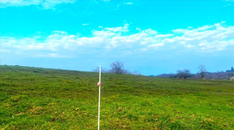 Asturias - Vilde - 13652m2