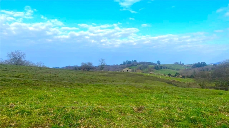 Asturias - Vilde - 13652m2