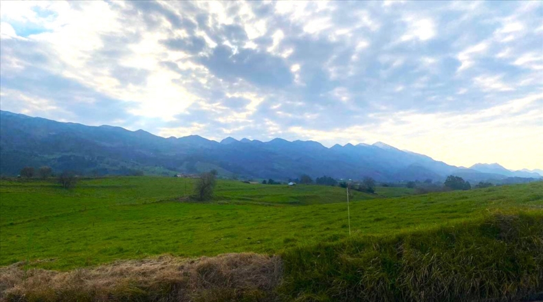 Asturias - Vilde - 13652m2