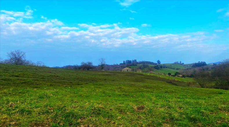 Asturias - Vilde - 13652m2