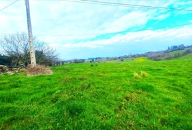 Bustio 13652&nbsp;m²