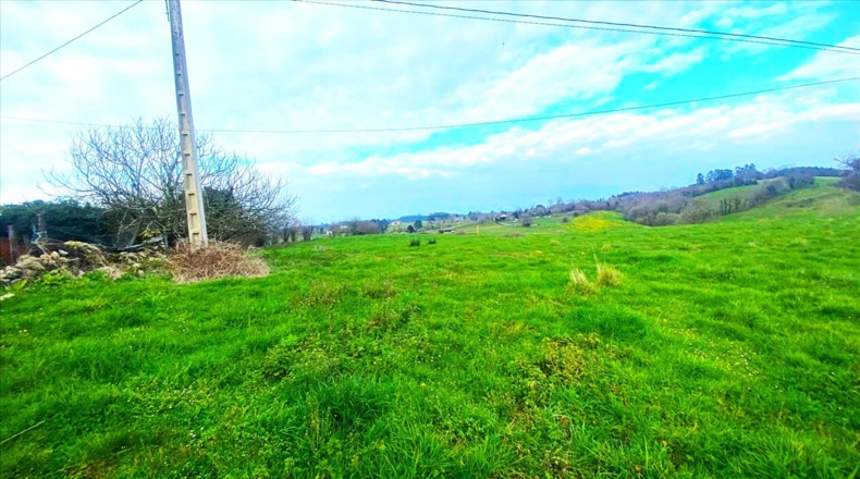 Asturias - Vilde - 13652m2