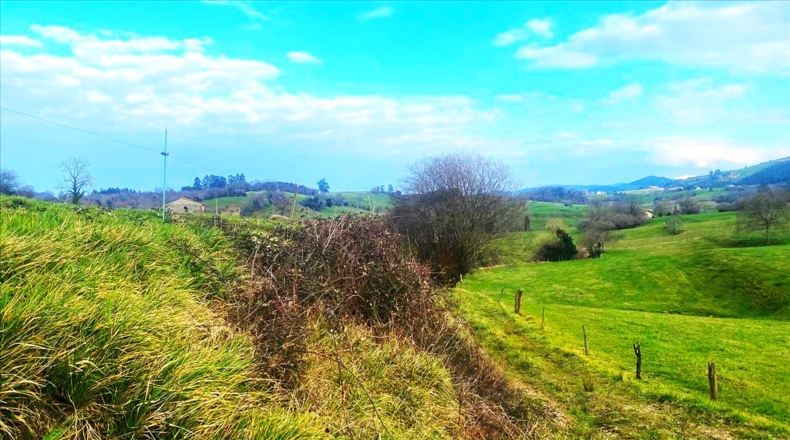 Asturias - Vilde - 13652m2