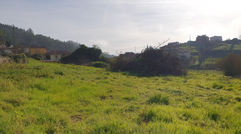 Asturias - Candamo - 1074m2