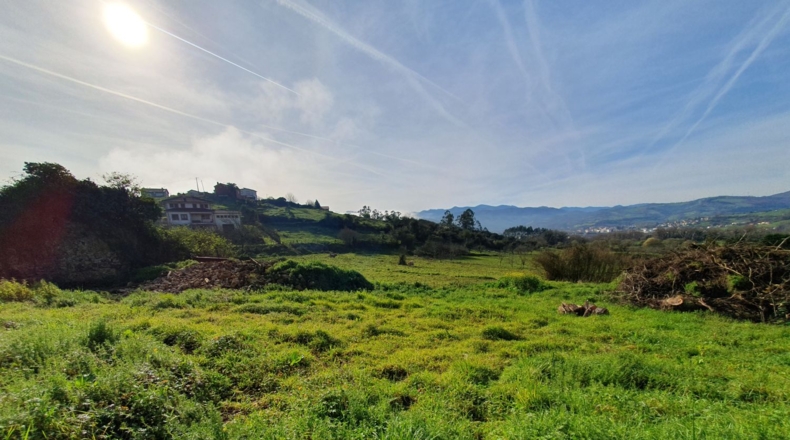 Asturias - Candamo - 1074m2