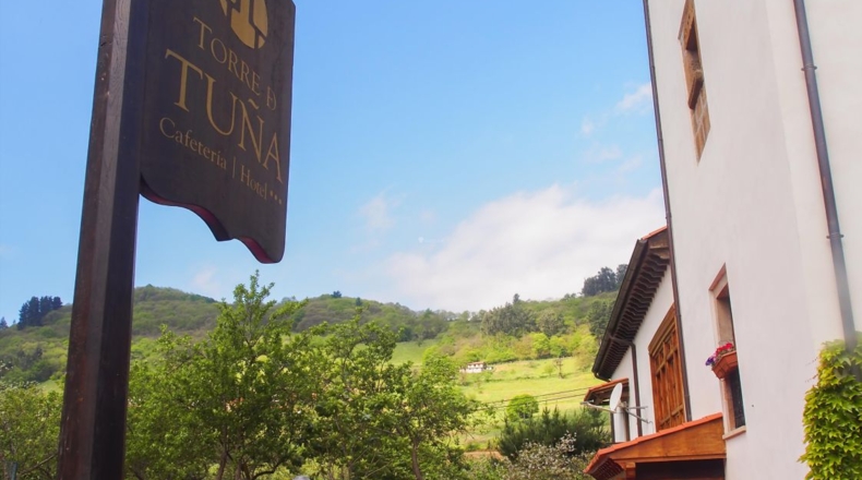 Asturias - Tineo - 976m2