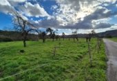 Non-developable land for sale in Grado ref: TR252830 photo