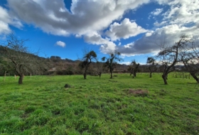 Grado 2401&nbsp;m² 
