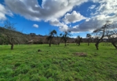Non-developable land for sale in Grado ref: TR252830 photo