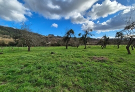 Grado 2401&nbsp;m² 