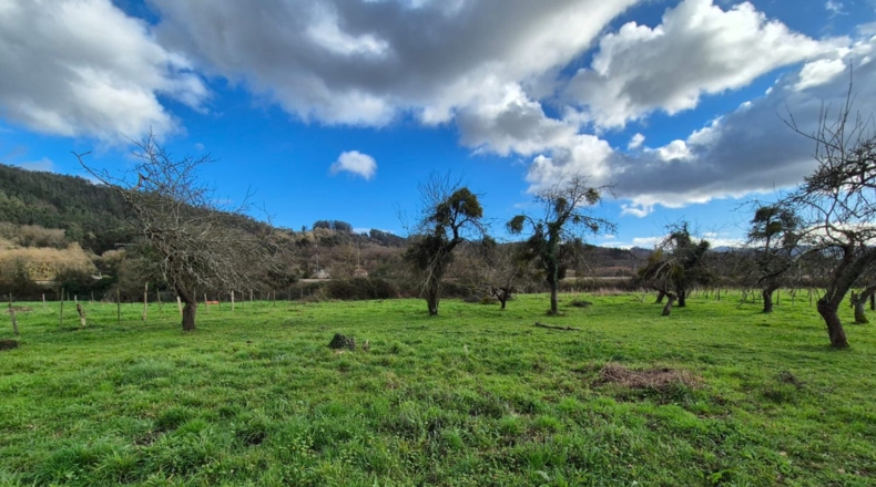 Asturias - Grado - 2401m2
