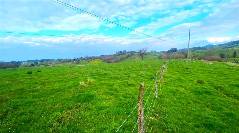 Asturias - Noriega - 12865m2