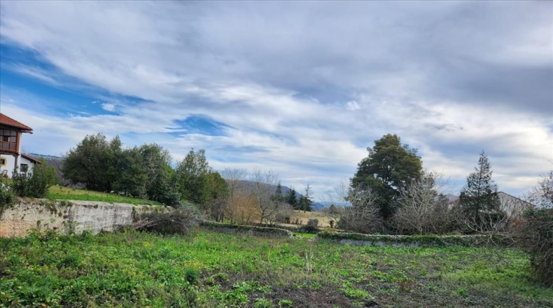 Asturias - Vilde - 1310m2