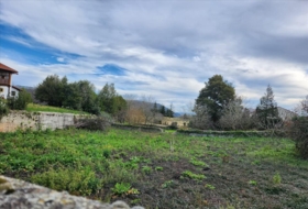 Bustio 1310&nbsp;m²