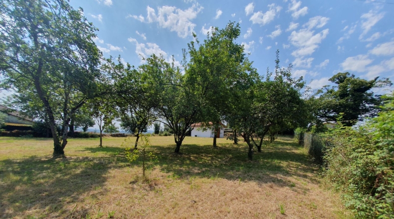 Astúries - Casa Nueva - 1522m2