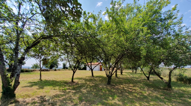 Astúries - Casa Nueva - 1522m2
