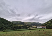 Xalet independent amb terreny en venda a Belmonte ref.: TR287081 foto