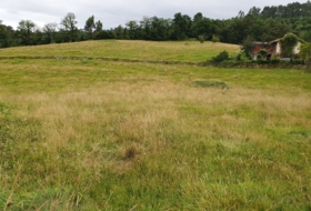Grado 4373&nbsp;m² 