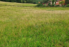 Grado 4373&nbsp;m² 