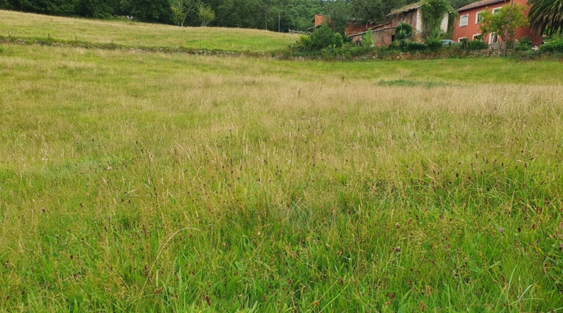 Asturias - Grado - 4373m2