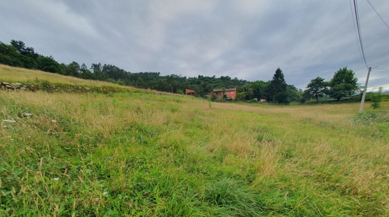 Asturias - Grado - 4373m2