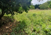 Sòl urbà en venda a Belmonte ref.: TR321891 foto