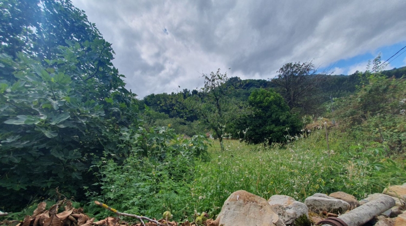 Asturias - Hospital - 2523m2