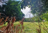 Sòl urbà en venda a Belmonte ref.: TR321891 foto
