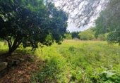 Sòl urbà en venda a Belmonte ref.: TR321891 foto