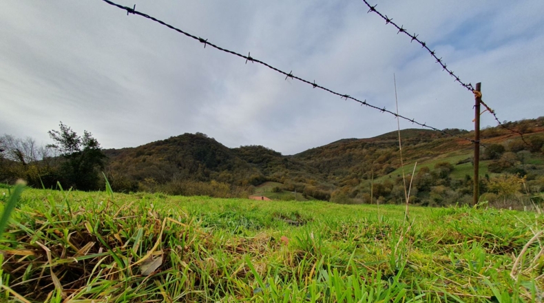 Asturias - Grado - 2392m2