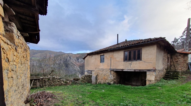 Asturias - Салас - 5210m2