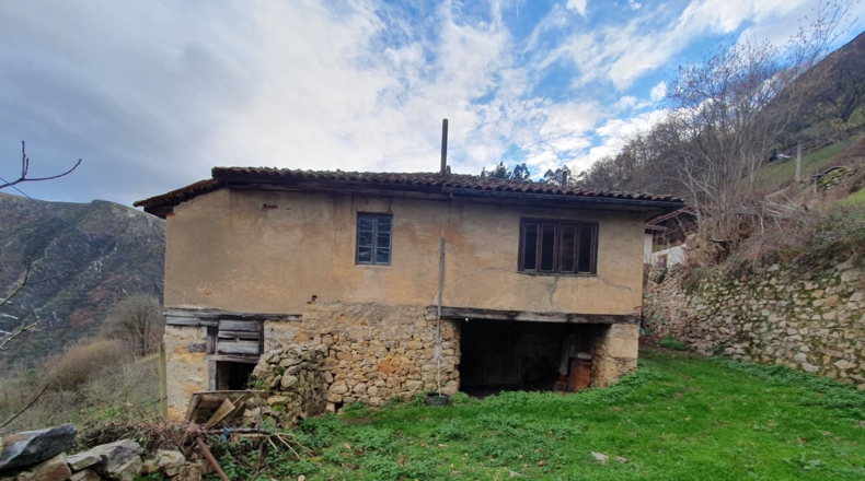 Asturias - Салас - 5210m2