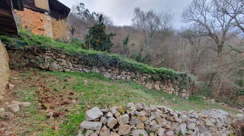 Asturias - Салас - 5210m2