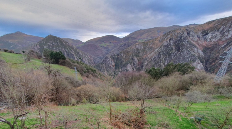 Asturias - Салас - 5210m2