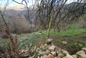 Salas 5210&nbsp;m²