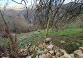 Finca rústica en venta en Salas ref: TR379655 foto