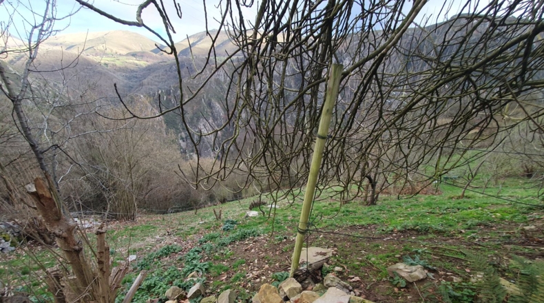 Asturias - Салас - 5210m2