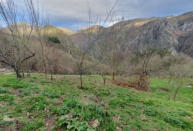 Salas 5210&nbsp;m²