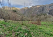 Finca rústica en venta en Salas ref: TR379655 foto