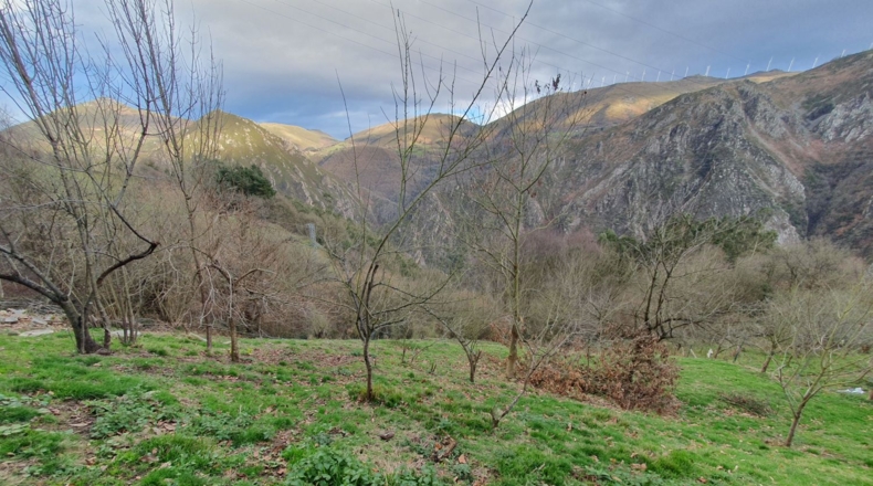 Asturias - Салас - 5210m2