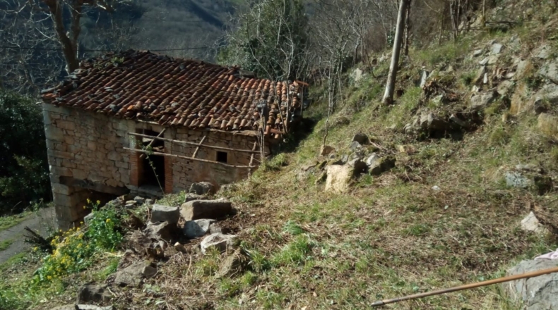 Asturias - Tablado - 320m2