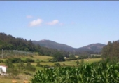 Sòl urbà en venda a Las Cruces ref.: TR54380 foto