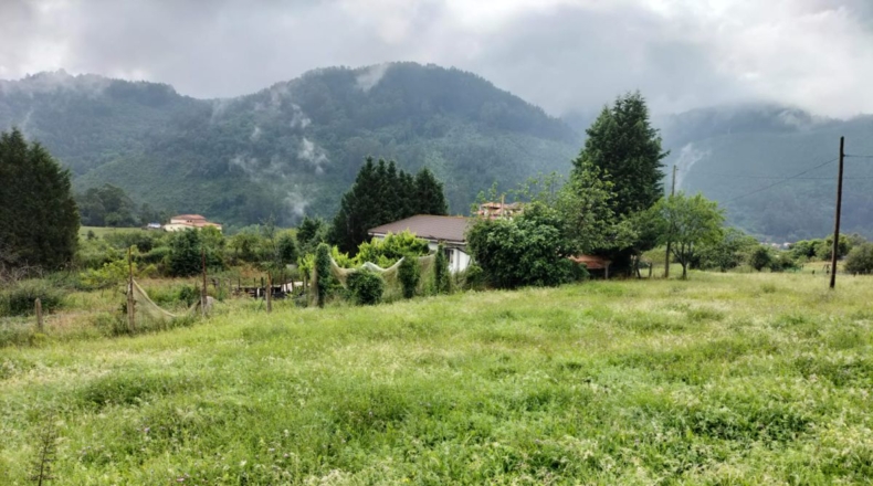 Asturias - Murias - 1792m2