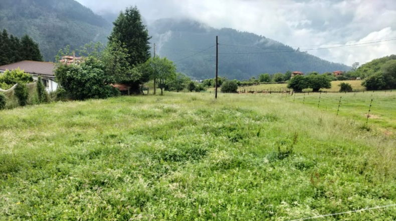 Asturias - Murias - 1792m2